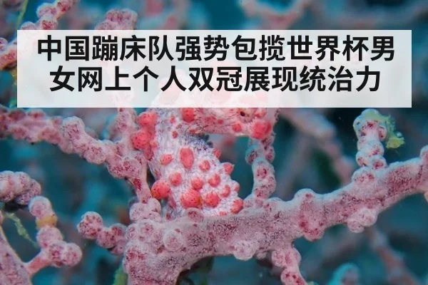 中国蹦床队强势包揽世界杯男女网上个人双冠展现统治力